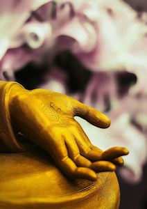 Thema-avond bij Bright Dharma - online mediteren