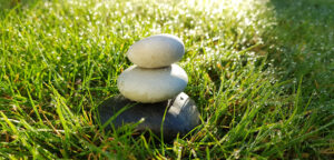 Lees meer over het artikel Upekkha (gelijkmoedigheid)