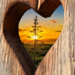 Hulpbronnen voor moeilijke tijden – deel II