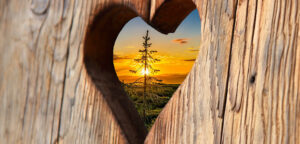 Lees meer over het artikel Hulpbronnen voor moeilijke tijden – deel II