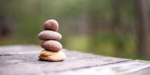 Lees meer over het artikel De simpelheid van vipassana-meditatie