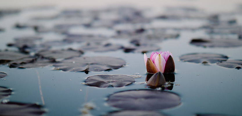 Je bekijkt nu Net niet opmerkzaam